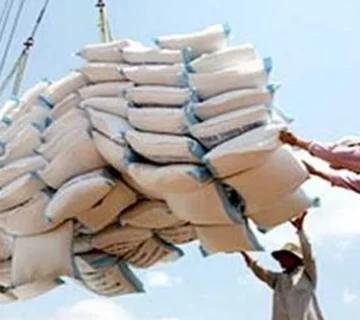 Le Cameroun enregistre un record dans l’importation de riz en 2019, avec 803 505 tonnes