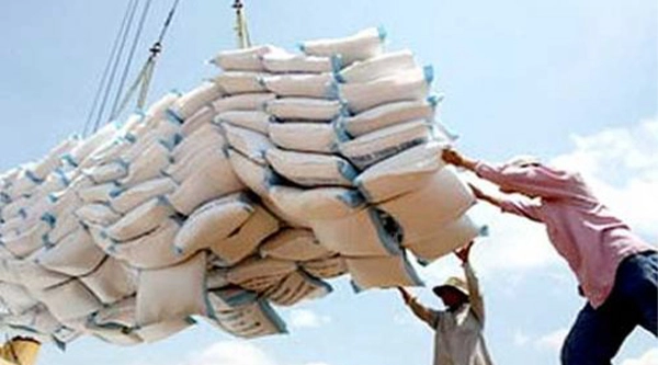 Le Cameroun enregistre un record dans l’importation de riz en 2019, avec 803 505 tonnes
