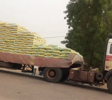 importations 1er trimistre 2020